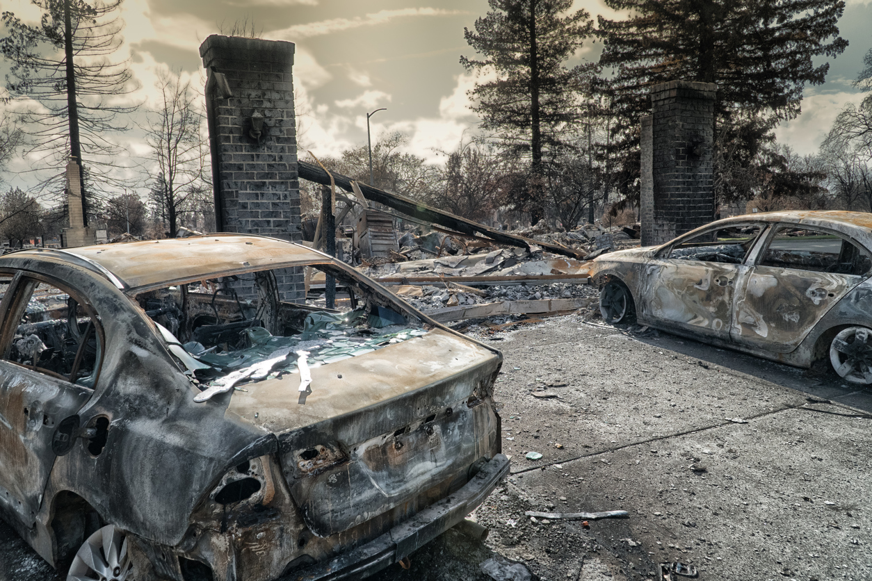 Burned Neighborhood in California