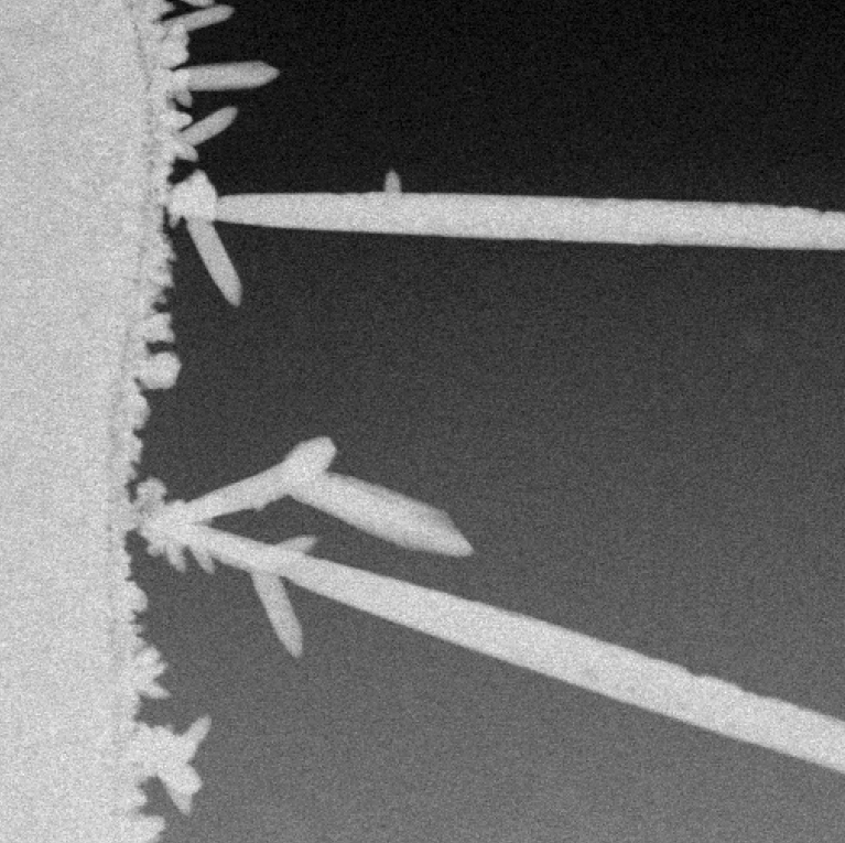 ucla-pb-dendrite-growth